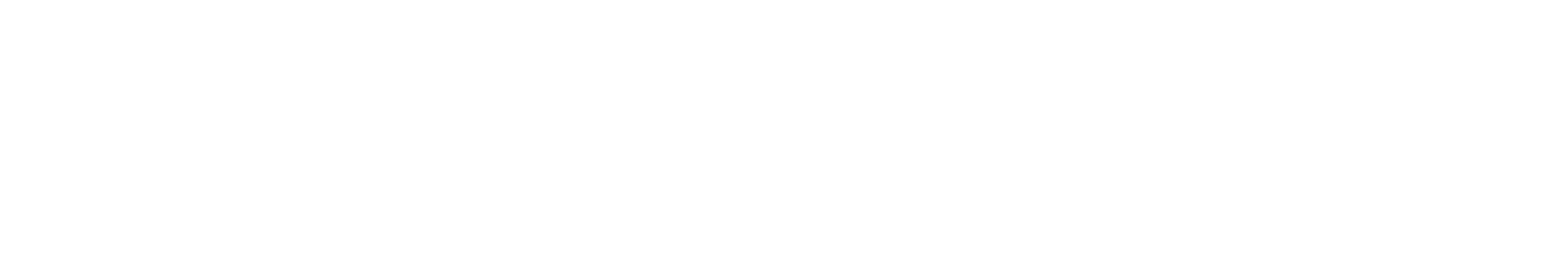 VERLYON
